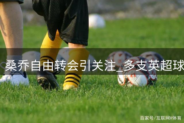 桑乔自由转会引关注 多支英超球队展开谈判